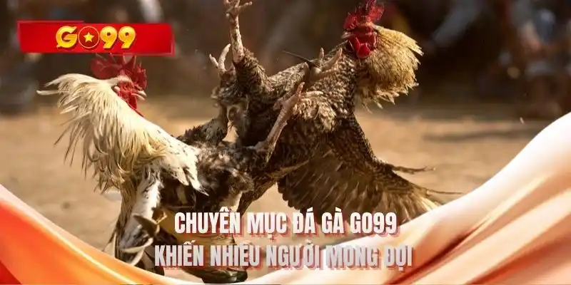 Chuyên mục đá gà GO99 khiến nhiều người mong đợi